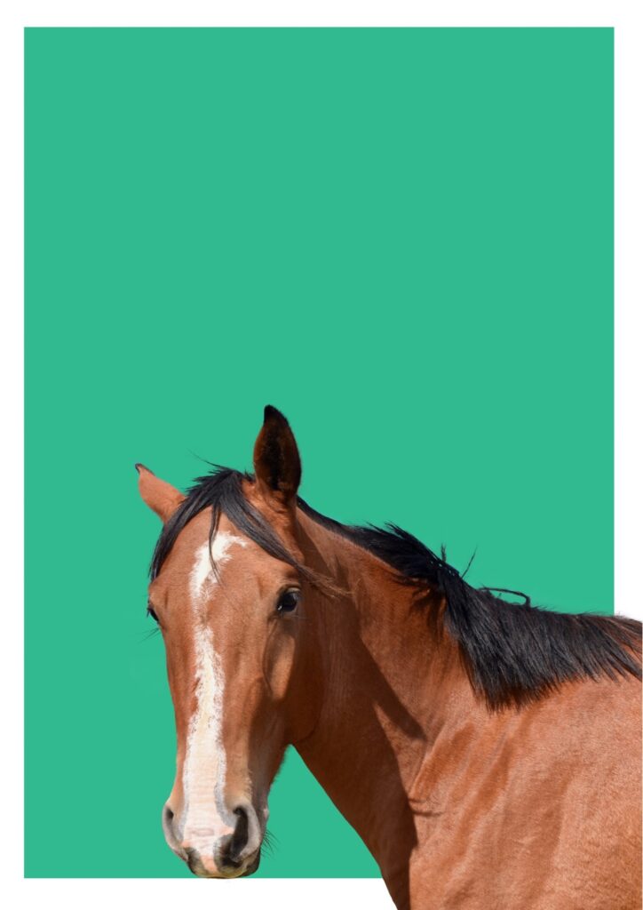 明けましておめでとうございます。